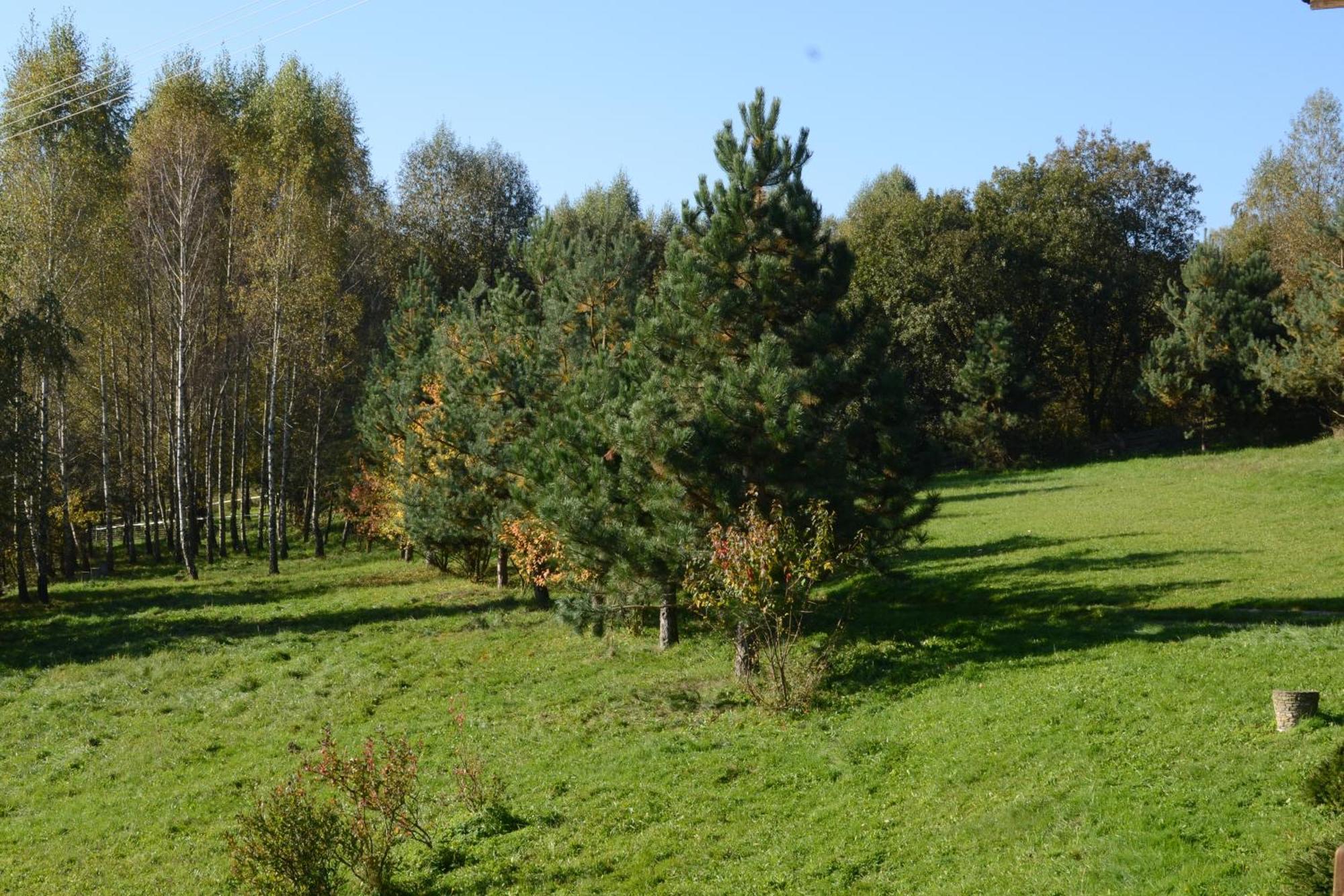 Chata Mioduszyna W Beskidach - Drewniany Dom Z Widokiem Na Babia Gore Villa Makow Podhalanski Exterior photo